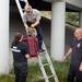 Ann Arbor firefighter Lieutenant Keith Harr puts a stray cat found under an overpass along I-94 into a carrier for an HSHV investigator Elise Ramsey as firefighter Steve Hubbard looks on Tuesday. Photos courtesy of Humane Society of Huron Valley